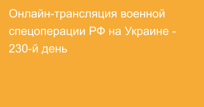 Онлайн-трансляция военной спецоперации РФ на Украине - 230-й день