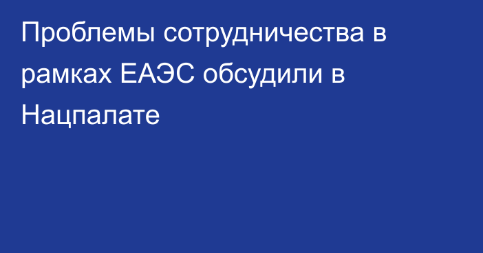 Проблемы сотрудничества в рамках ЕАЭС обсудили в Нацпалате