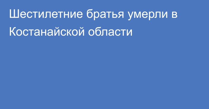 Шестилетние братья умерли в Костанайской области