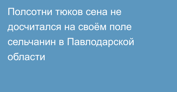 Полсотни тюков сена не досчитался на своём поле сельчанин в Павлодарской области