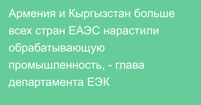 Армения и Кыргызстан больше всех стран ЕАЭС нарастили обрабатывающую промышленность, - глава департамента ЕЭК