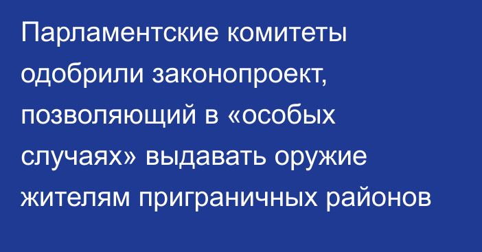 Парламентские комитеты одобрили законопроект, позволяющий в «особых случаях» выдавать оружие жителям приграничных районов