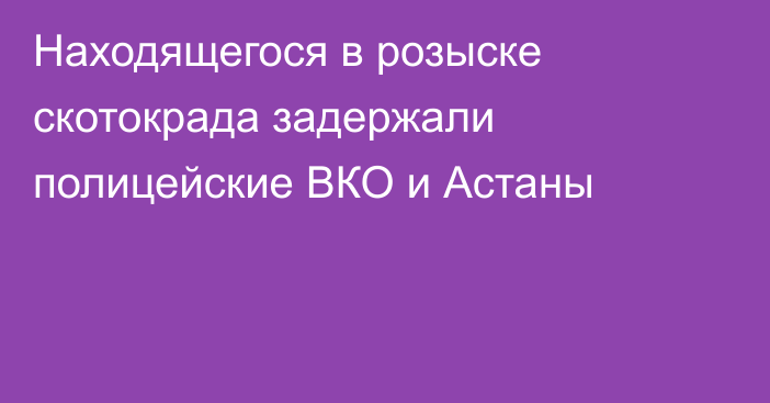 Находящегося в розыске скотокрада задержали полицейские ВКО и Астаны