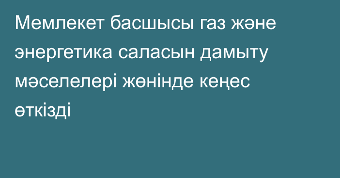 Мемлекет басшысы газ және энергетика саласын дамыту мәселелері жөнінде кеңес өткізді