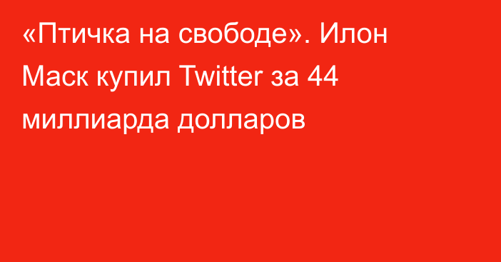 «Птичка на свободе». Илон Маск купил Twitter за 44 миллиарда долларов