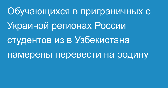 Обучающихся в приграничных с Украиной регионах России студентов из в Узбекистана намерены перевести на родину