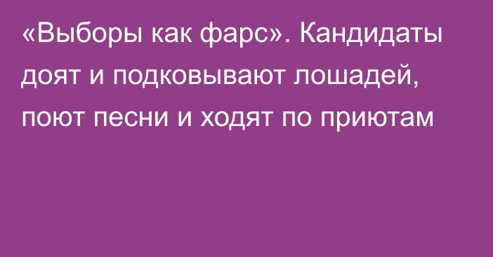 «Выборы как фарс». Кандидаты доят и подковывают лошадей, поют песни и ходят по приютам