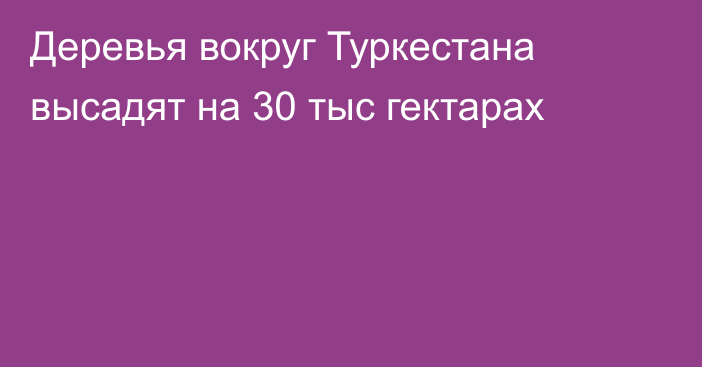 Деревья вокруг Туркестана высадят на 30 тыс гектарах