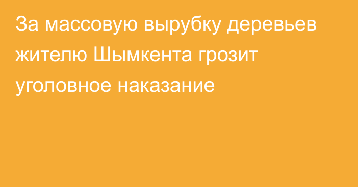 За  массовую вырубку деревьев жителю Шымкента грозит уголовное наказание