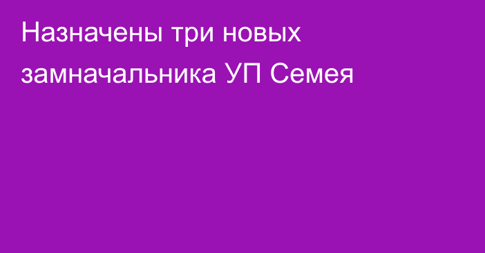 Назначены три новых замначальника УП Семея