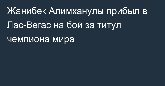 Жанибек Алимханулы прибыл в Лас-Вегас на бой за титул чемпиона мира