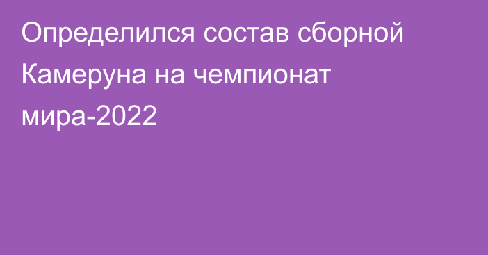 Определился состав сборной Камеруна на чемпионат мира-2022