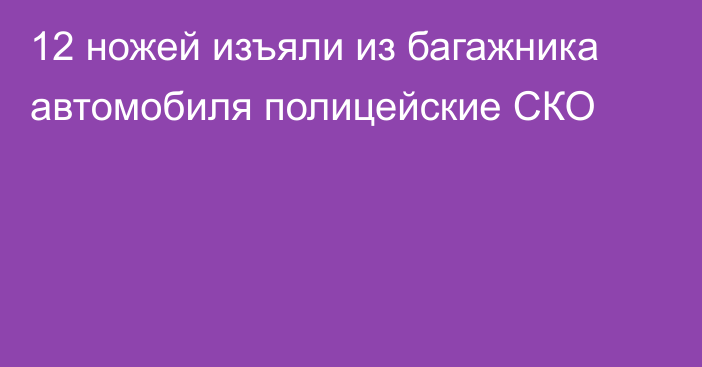 12 ножей изъяли из багажника автомобиля полицейские СКО