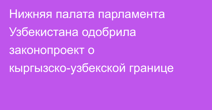 Нижняя палата парламента Узбекистана одобрила законопроект о кыргызско-узбекской границе