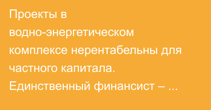 Проекты в водно-энергетическом комплексе нерентабельны для частного капитала. Единственный финансист – международные банки