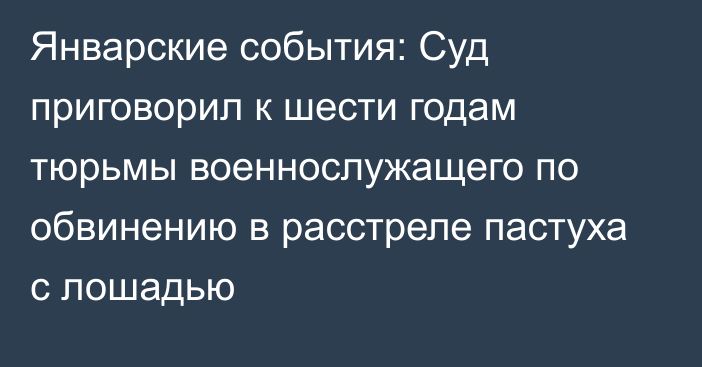 Январские события: Суд приговорил к шести годам тюрьмы военнослужащего по обвинению в расстреле пастуха с лошадью