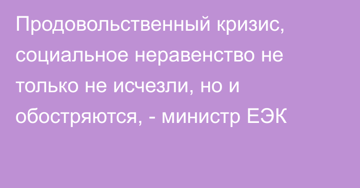 Продовольственный кризис, социальное неравенство не только не исчезли, но и обостряются, - министр ЕЭК