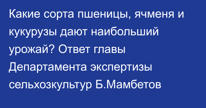 Какие сорта пшеницы, ячменя и кукурузы дают наибольший урожай? Ответ главы Департамента экспертизы сельхозкультур Б.Мамбетов