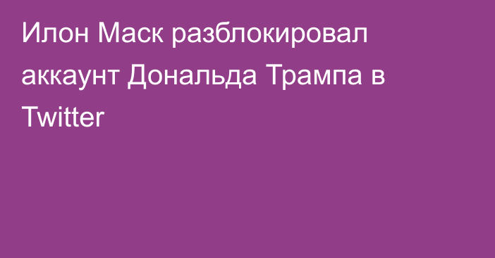 Илон Маск разблокировал аккаунт Дональда Трампа в Twitter