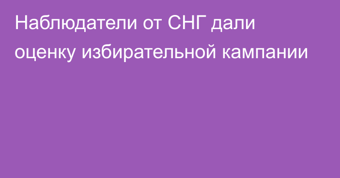 Наблюдатели от СНГ дали оценку избирательной кампании