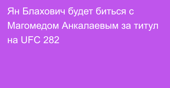 Ян Блахович будет биться с Магомедом Анкалаевым за титул на UFC 282