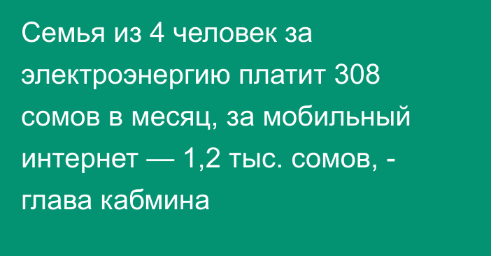 Семья из 4 человек за электроэнергию платит 308 сомов в месяц, за мобильный интернет — 1,2 тыс. сомов, - глава кабмина