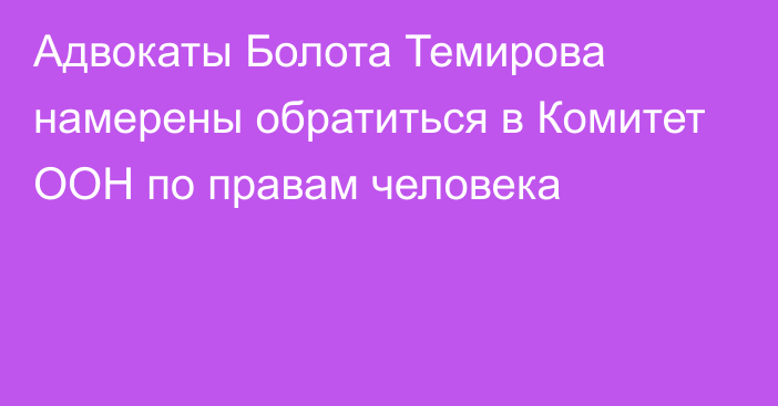 Адвокаты Болота Темирова намерены обратиться в Комитет ООН по правам человека