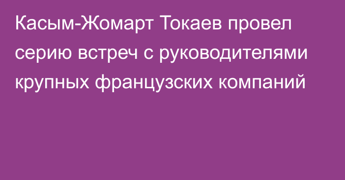 Касым-Жомарт Токаев провел серию встреч с руководителями крупных французских компаний