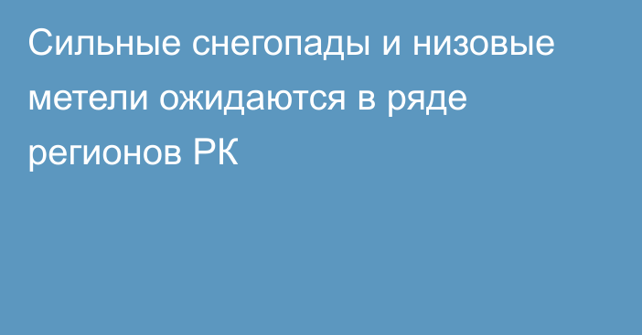 Сильные снегопады и низовые метели ожидаются в ряде регионов РК