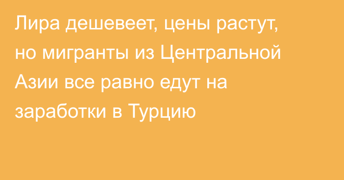 Лира дешевеет, цены растут, но мигранты из Центральной Азии все равно едут на заработки в Турцию