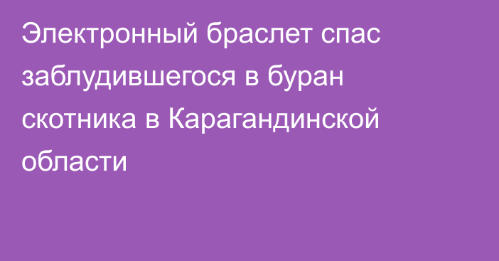 Электронный браслет спас заблудившегося в буран скотника в Карагандинской области