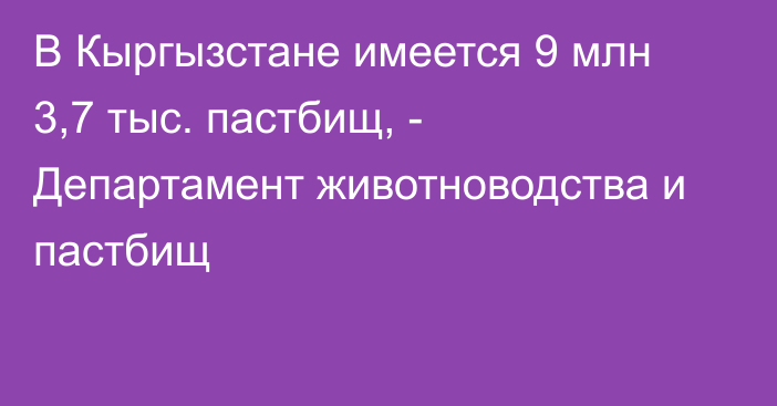 В Кыргызстане имеется 9 млн 3,7 тыс. пастбищ, - Департамент животноводства и пастбищ