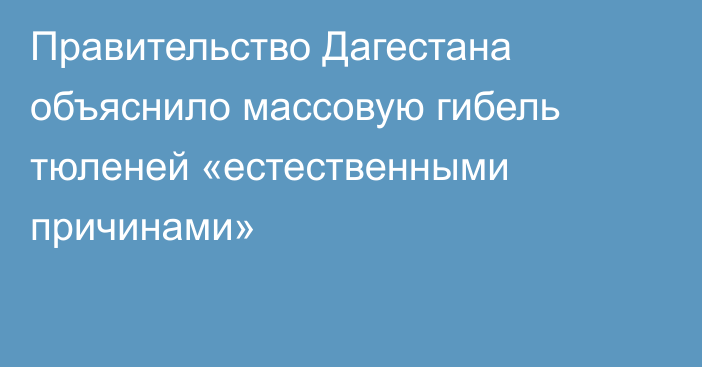 Правительство Дагестана объяснило массовую гибель тюленей «естественными причинами»