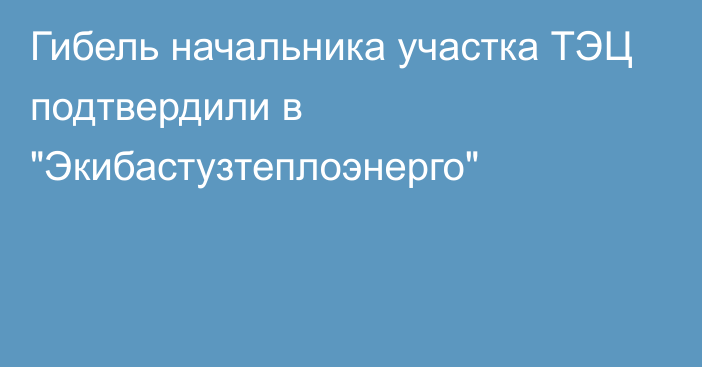 Гибель начальника участка ТЭЦ подтвердили в 