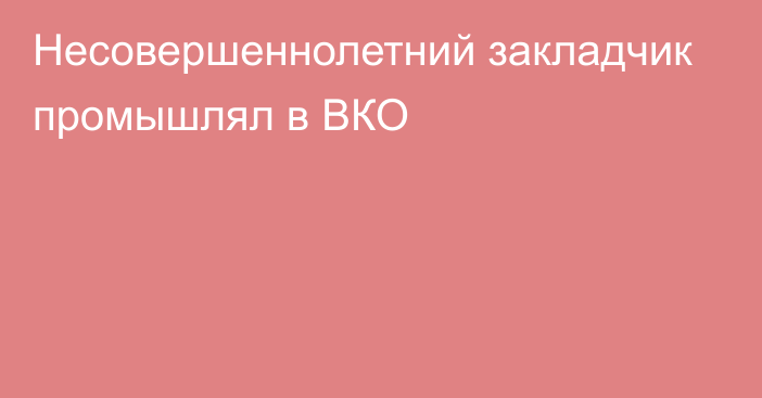 Несовершеннолетний закладчик промышлял в ВКО