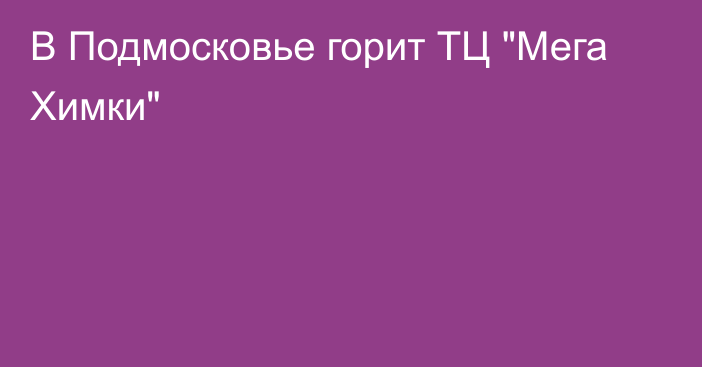 В Подмосковье горит ТЦ 