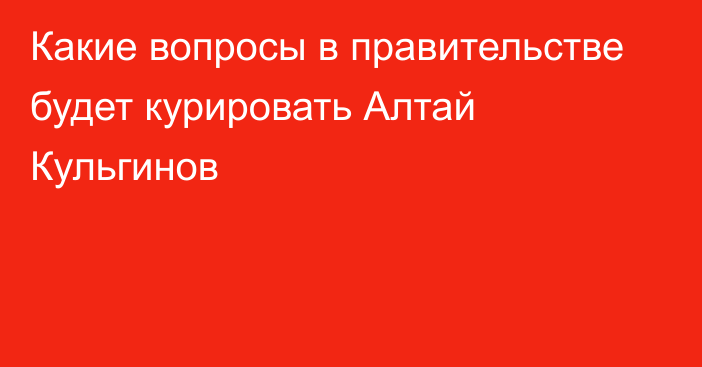 Какие вопросы в правительстве будет курировать Алтай Кульгинов