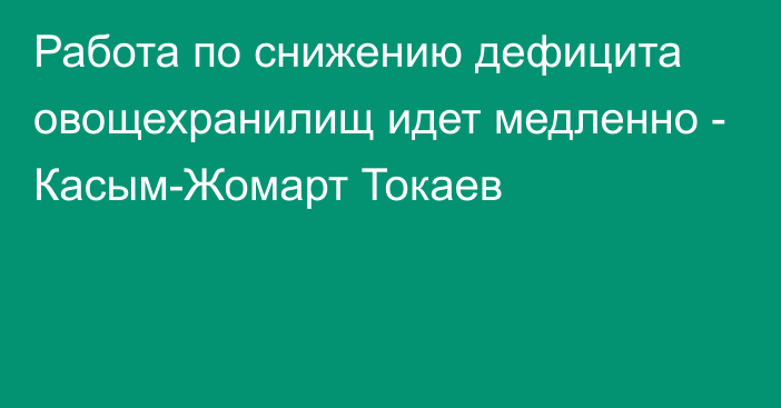 Работа по снижению дефицита овощехранилищ идет медленно - Касым-Жомарт Токаев