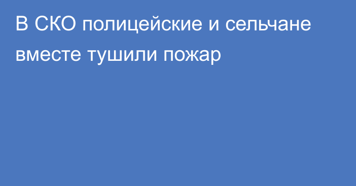 В СКО полицейские и сельчане вместе тушили пожар