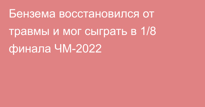 Бензема восстановился от травмы и мог сыграть в 1/8 финала ЧМ-2022