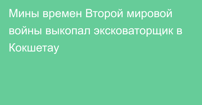 Мины времен Второй мировой войны выкопал эксковаторщик в Кокшетау