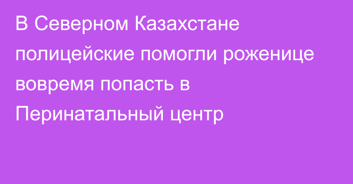 В Северном Казахстане полицейские помогли роженице вовремя попасть в Перинатальный центр  