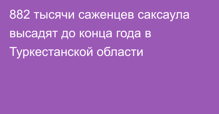 882 тысячи саженцев саксаула высадят до конца года в Туркестанской области