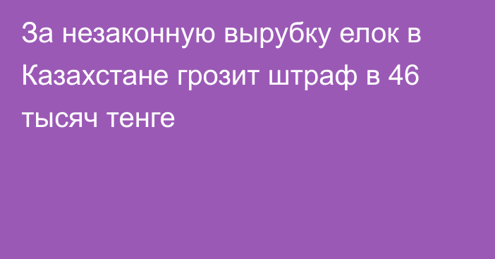 За незаконную вырубку елок в Казахстане грозит штраф в 46 тысяч тенге