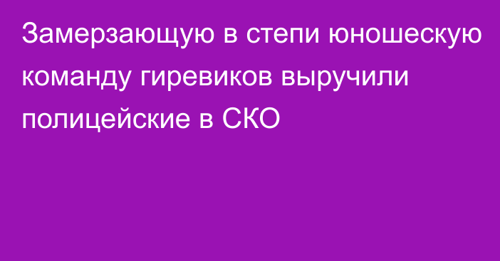 Замерзающую в степи юношескую команду гиревиков выручили полицейские в СКО