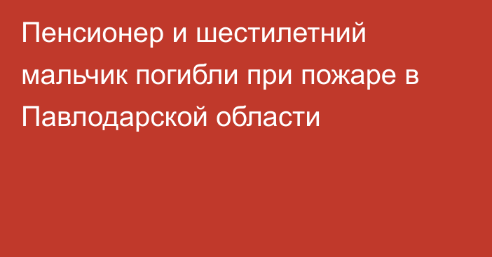 Пенсионер и шестилетний мальчик погибли при пожаре в Павлодарской области