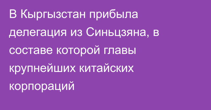 В Кыргызстан прибыла делегация из Синьцзяна, в составе которой главы крупнейших китайских корпораций