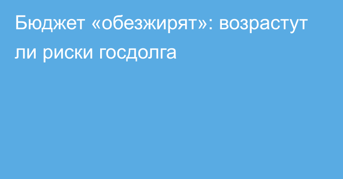 Бюджет «обезжирят»: возрастут ли риски госдолга