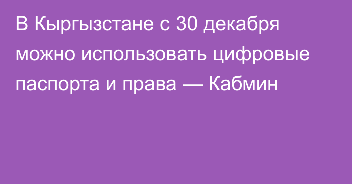 В Кыргызстане с 30 декабря можно использовать цифровые паспорта и права — Кабмин