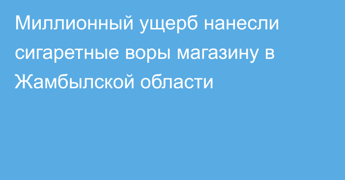 Миллионный ущерб нанесли сигаретные воры магазину в Жамбылской области